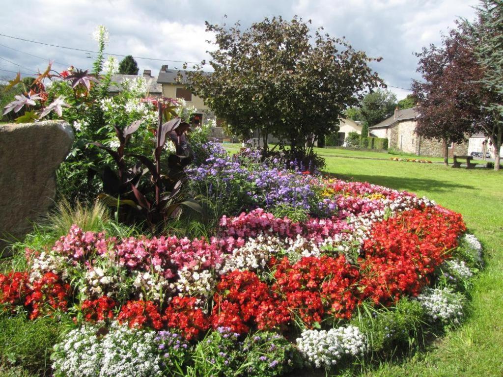 Gite Du Coucou Hargnies ภายนอก รูปภาพ